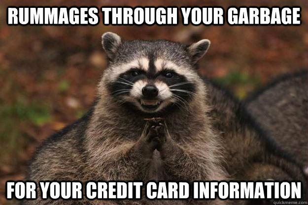 Rummages through your Garbage For your credit card information  Evil Plotting Raccoon