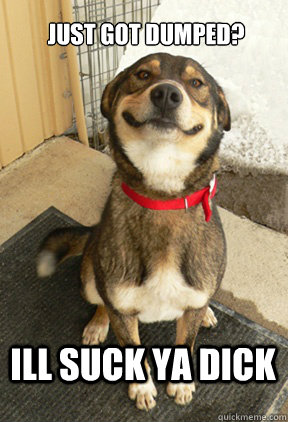 just got dumped? ill suck ya dick  Good Dog Greg