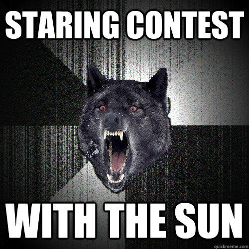 staring contest with the sun  Insanity Wolf