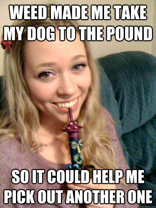 weed made me take my dog to the pound so it could help me pick out another one  