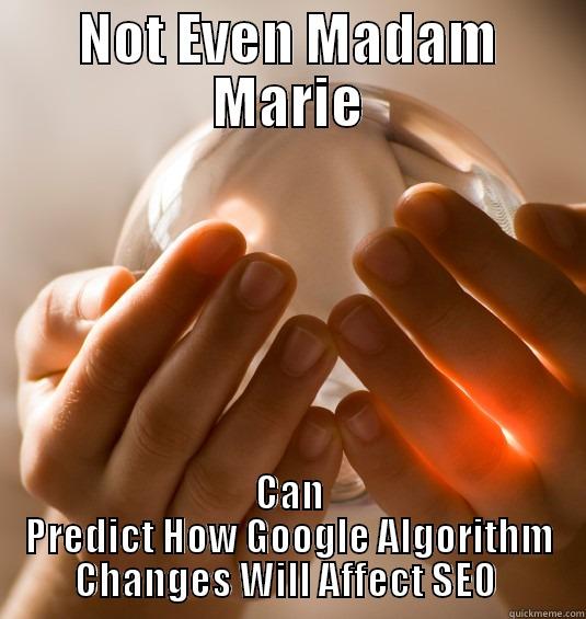 NOT EVEN MADAM MARIE CAN PREDICT HOW GOOGLE ALGORITHM CHANGES WILL AFFECT SEO  Misc