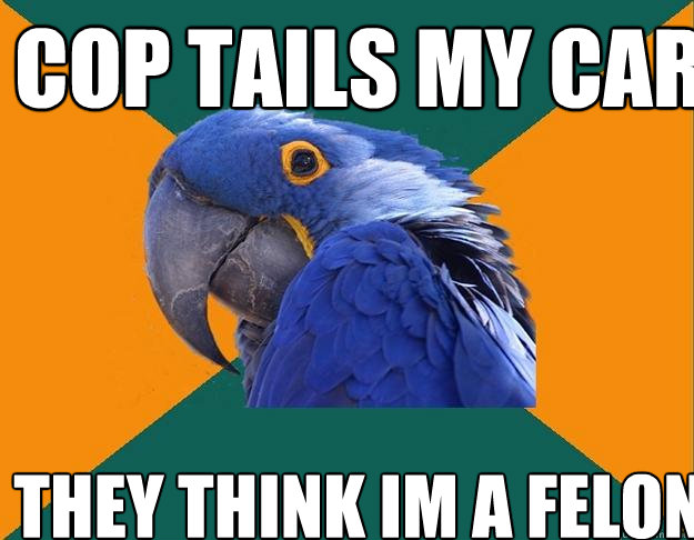 cop tails my car they think im a felon  Paranoid Parrot