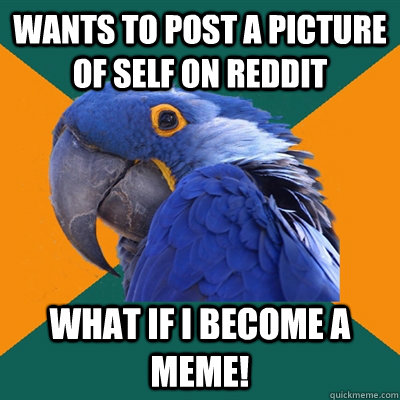 wants to post a picture of self on reddit what if i become a meme!  Paranoid Parrot