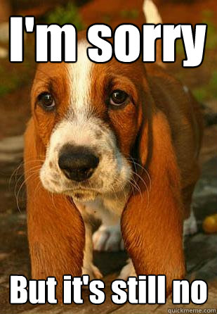 I'm sorry But it's still no - I'm sorry But it's still no  Unemployable Basset Hound Puppy