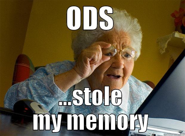 ODS ...STOLE MY MEMORY Grandma finds the Internet