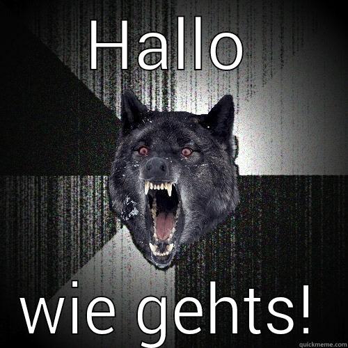 HALLO WIE GEHTS! Insanity Wolf