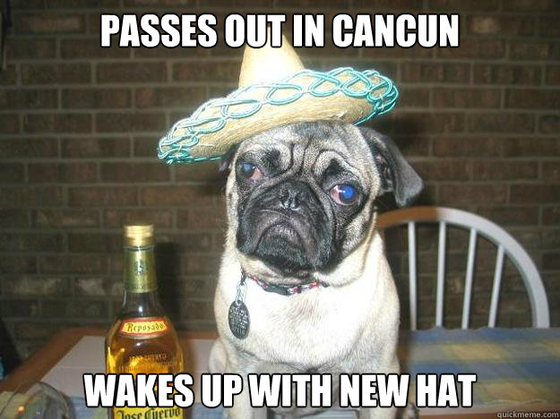 passes out in cancun wakes up with new hat - passes out in cancun wakes up with new hat  Vacation dog