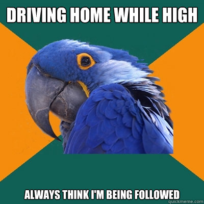Driving home while high always think i'm being followed  Paranoid Parrot