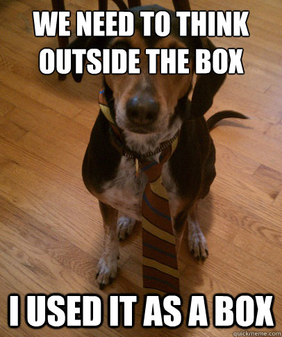 We need to think outside the box here I used it as a box  Business Dog