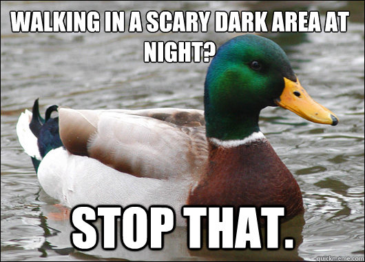 walking in a scary dark area at night? stop that. - walking in a scary dark area at night? stop that.  Actual Advice Mallard