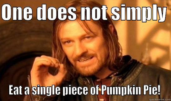 Pumpkin Pie - ONE DOES NOT SIMPLY  EAT A SINGLE PIECE OF PUMPKIN PIE! Boromir