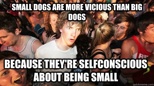 small dogs are more vicious than big dogs because they're selfconscious about being small  Sudden Clarity Clarence