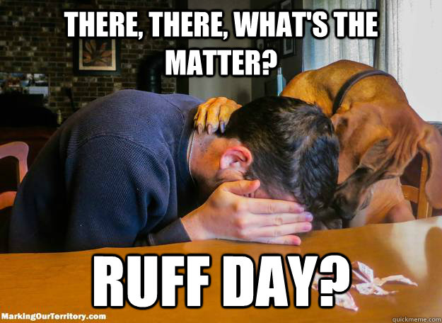 There, there, what's the matter? Ruff day? - There, there, what's the matter? Ruff day?  Misc