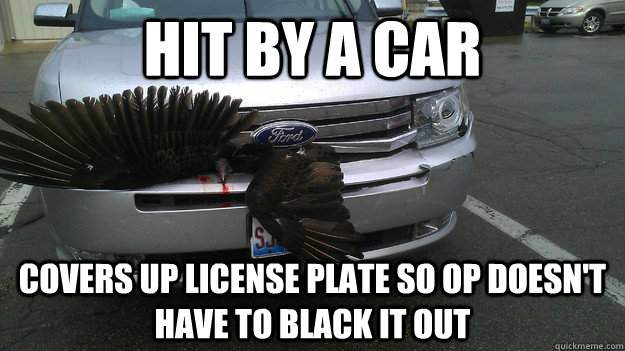 hit by a car covers up license plate so op doesn't have to black it out - hit by a car covers up license plate so op doesn't have to black it out  Good Guy Dead Turkey