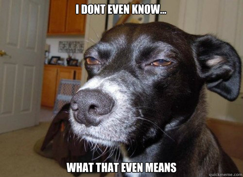 I dont even know... what that even means - I dont even know... what that even means  Suspicious Dog