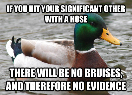 IF YOU HIT YOUR SIGNIFICANT OTHER WITH A HOSE THERE WILL BE NO BRUISES, AND THEREFORE NO EVIDENCE  Actual Advice Mallard