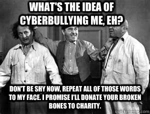 What's the idea of cyberbullying me, eh? Don't be shy now, repeat all of those words to my face. I promise I'll donate your broken bones to charity.  Three Stooges