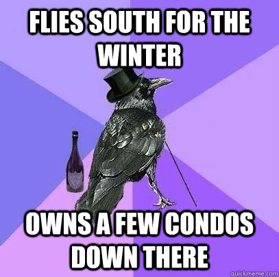 flies south for the winter owns a few condos down there - flies south for the winter owns a few condos down there  Rich Raven