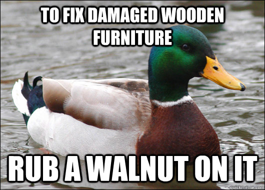 To fix damaged wooden furniture rub a walnut on it  Actual Advice Mallard