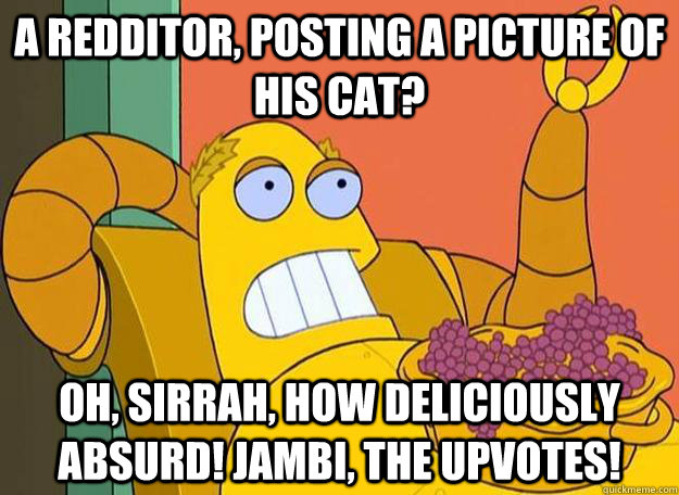 A redditor, posting a picture of his cat? Oh, sirrah, how deliciously absurd! Jambi, the upvotes! - A redditor, posting a picture of his cat? Oh, sirrah, how deliciously absurd! Jambi, the upvotes!  Hedonism Bot