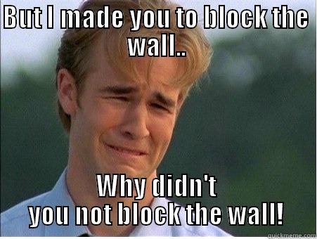BUT I MADE YOU TO BLOCK THE WALL.. WHY DIDN'T YOU NOT BLOCK THE WALL! 1990s Problems