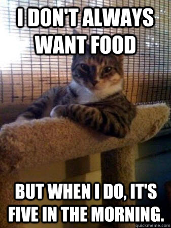 I don't always want food but when i do, it's five in the morning.   The Most Interesting Cat in the World
