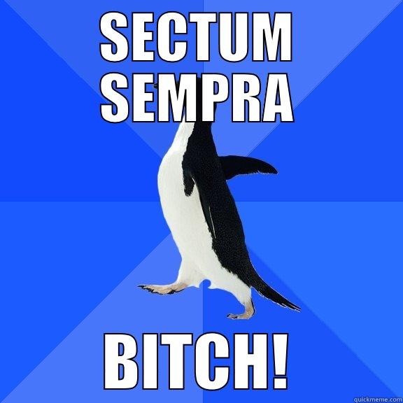 SECTUM SEMPRA BITCH! Socially Awkward Penguin