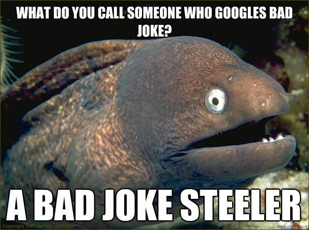what do you call someone who googles bad joke?

 a bad joke steeler  Bad Joke Eel