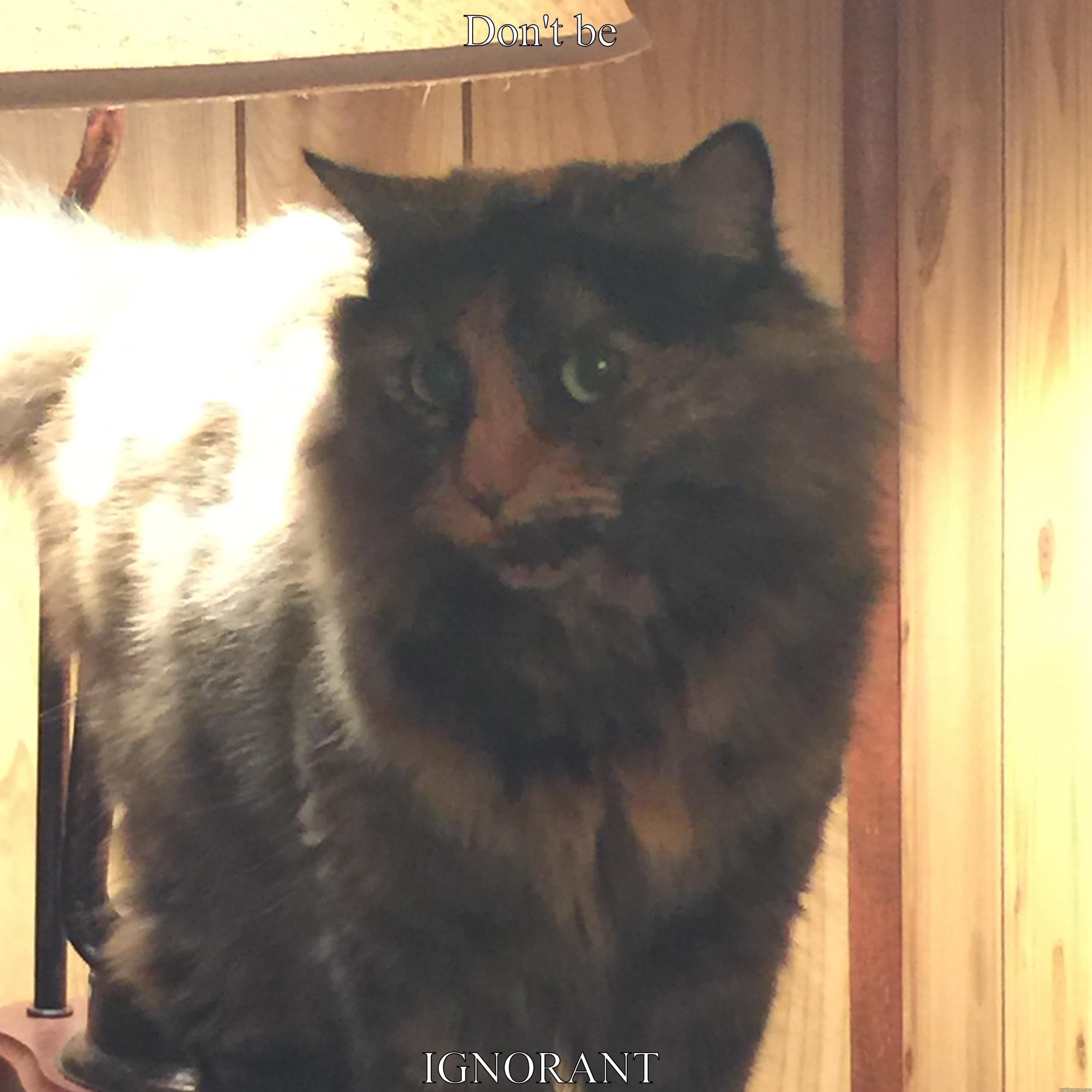 DON'T BE IGNORANT Misc