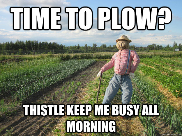 Time to plow? thistle keep me busy all morning  Scarecrow