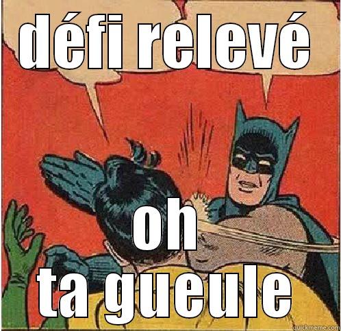DÉFI RELEVÉ OH TA GUEULE Batman Slapping Robin
