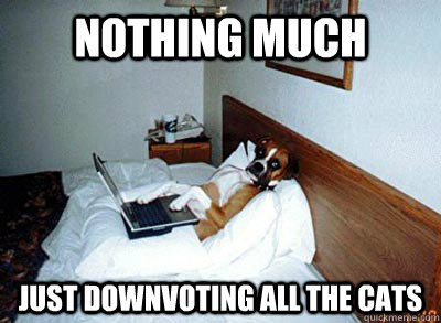 nothing much just downvoting all the cats - nothing much just downvoting all the cats  Misc