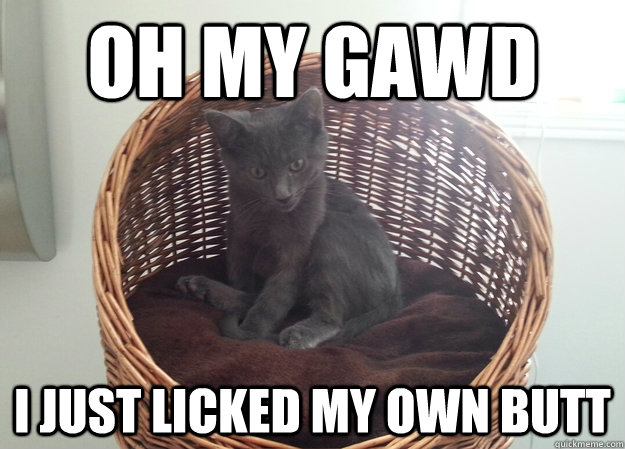 OH MY GAWD I JUST LICKED MY OWN BUTT  Sudden Clarity Cat