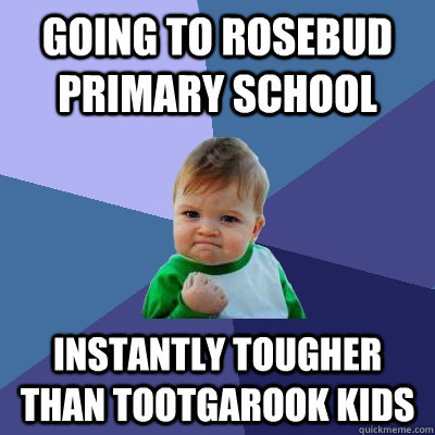 Going to rosebud primary school Instantly tougher than tootgarook kids  Success Kid