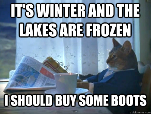 it's winter and the lakes are frozen I should buy some boots  The One Percent Cat