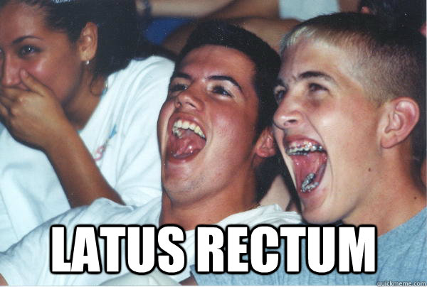  Latus Rectum   Immature High Schoolers