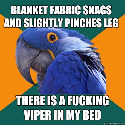 Blanket fabric snags and slightly pinches leg  there is a fucking viper in my bed  Paranoid Parrot