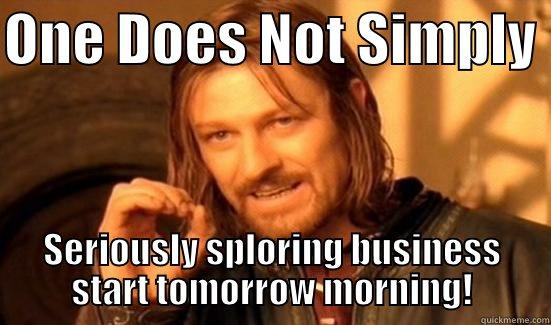 ONE DOES NOT SIMPLY  SERIOUSLY SPLORING BUSINESS START TOMORROW MORNING! Boromir