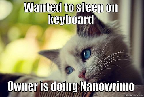 WANTED TO SLEEP ON KEYBOARD OWNER IS DOING NANOWRIMO First World Problems Cat