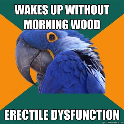 wakes up without morning wood erectile dysfunction  Paranoid Parrot
