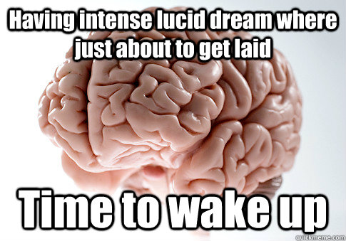 Having intense lucid dream where just about to get laid Time to wake up  Scumbag Brain