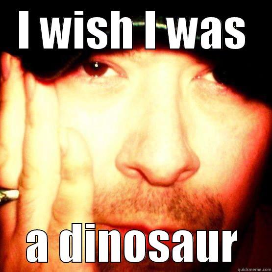 I WISH I WAS A DINOSAUR Misc
