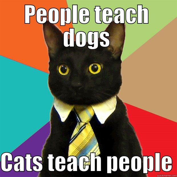PEOPLE TEACH DOGS  CATS TEACH PEOPLE Business Cat