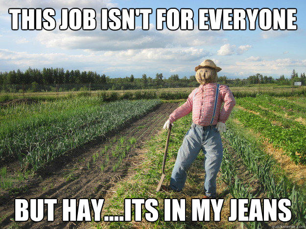 This job isn't for everyone But Hay....its in my jeans - This job isn't for everyone But Hay....its in my jeans  Scarecrow