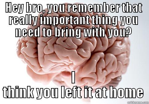 HEY BRO, YOU REMEMBER THAT REALLY IMPORTANT THING YOU NEED TO BRING WITH YOU? I THINK YOU LEFT IT AT HOME Scumbag Brain