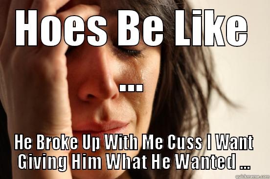 HOES BE LIKE ... HE BROKE UP WITH ME CUSS I WANT GIVING HIM WHAT HE WANTED ... First World Problems