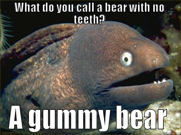 WHAT DO YOU CALL A BEAR WITH NO TEETH? A GUMMY BEAR Bad Joke Eel