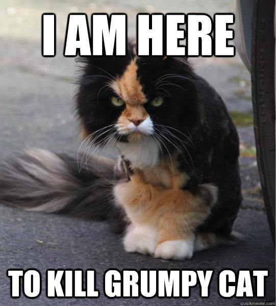 I am here to kill grumpy cat - I am here to kill grumpy cat  Evil Cat