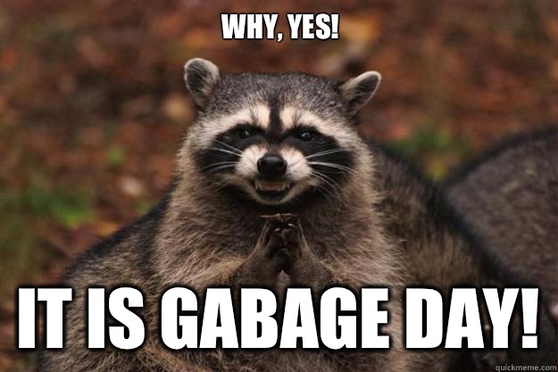 Why, yes! It IS Gabage Day!  Evil Plotting Raccoon