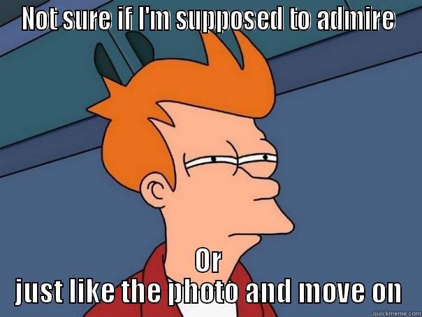 Admiration Or No? - NOT SURE IF I'M SUPPOSED TO ADMIRE OR JUST LIKE THE PHOTO AND MOVE ON Futurama Fry